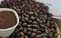 Giá cà phê bật tăng mạnh