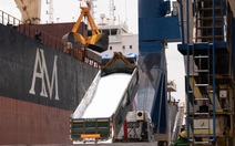 PVFCCo - Phú Mỹ đẩy mạnh xuất nhập khẩu phân bón