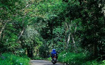 Hơn trăm người tìm kiếm du khách bị mất liên lạc hơn 2 ngày ở Vườn quốc gia Cúc Phương