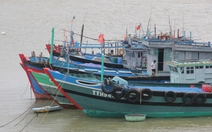 Đà Nẵng kêu gọi 659 tàu trên biển tránh áp thấp, thoát ra khỏi vùng nguy hiểm