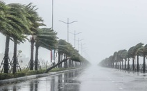 Biển Đông có thể đón thêm bão hoặc áp thấp nhiệt đới cuối tháng 8