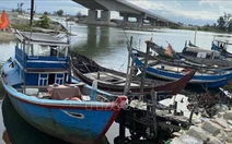 Chỉ đạo của Ban Bí thư về ứng phó với cơn bão số 5 (Kajiki)