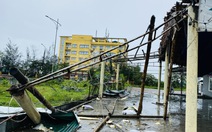 Nhà sập, cây đổ la liệt sau khi bão số 5 quần thảo