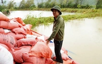 Kho thóc hàng trăm tấn bị ngập sau bão số 5, chủ kho 'thất thần' vì thiệt hại tiền tỉ