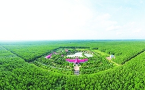 Tổng giám đốc VRG Lê Thanh Hưng: Chuyển đổi xanh là 'chìa khóa' vươn tầm thế giới
