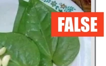 Chuyên gia bác tin tỏi và lá trầu không có thể chữa tiểu đường và cao huyết áp