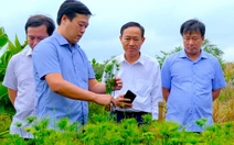 Festival hoa kiểng Sa Đéc phải tạo ra 'cú hích' về du lịch và thị trường hoa Tết