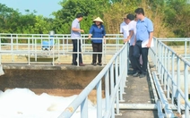 Tây Ninh xanh - Cho nền tảng phát triển bền vững