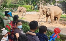 Vài vết muỗi đốt cũng đủ gây sốt xuất huyết, 5 mẹo đơn giản khi đi chơi, đi cắm trại cần biết