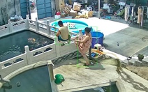 Trưa nắng không ngủ, chồng ngồi cho cá koi ăn bị vợ đạp ngã xuống hồ