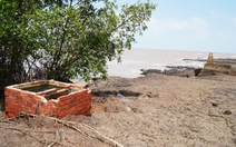 Nhiều người ở Cà Mau từng có hàng héc ta đất nay tay trắng, cần kè biển khẩn cấp