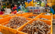 Chợ Bình Điền triển khai loạt giải pháp đổi mới, nâng cấp mô hình truyền thống