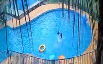 Đồng Nai: Bé gái 7 tuổi chết đuối tại hồ bơi tư nhân