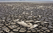 Nhiệt độ Trái đất sắp chạm ngưỡng không thể quay đầu