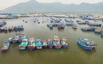 Cà Ná hướng đến tương lai đầy kỳ vọng