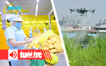 Điểm tin 8h: Tiếp tục đàm phán, ứng phó chính sách thuế Mỹ; Cấp tập chống vi rút chikungunya