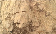 NASA phát hiện 'rùa' trên sao Hỏa