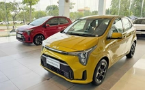 Kia Morning 2025 có mặt ở đại lý: Giá từ 439 triệu, như 'tiểu Carnival'