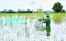 Đỉnh lũ Đồng bằng sông Cửu Long sẽ xuất hiện đầu tháng 10