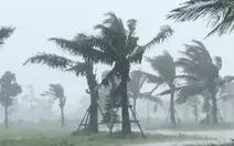 Áp thấp nhiệt đới sắp hình thành, các tỉnh Quảng Ninh đến Lâm Đồng báo tin ngay cho tàu thuyền