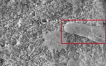 Tạo ra loại xi măng mới vừa xây nhà, vừa có thể thắp sáng hàng chục bóng đèn