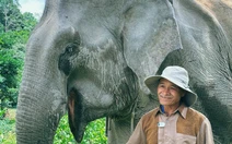 Dân mạng xúc động khi Jun Phạm kể chuyện ông Yo Thị và cô voi Hờ Tâu mà ông thương như con gái