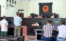 Trưởng thôn không tư lợi vẫn bị phạt tù