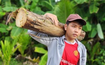 'Nó sợ mẹ chết nên kiếm tiền quần quật, học lúc nào mà đậu đại học tài quá!'