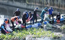 Ra mắt công trình lắp đặt phao chắn rác, xây dựng phường Bình Hưng Hòa xanh