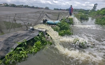 Hơn 63.000 mét vuông rau ở xã Vĩnh Lộc bị ngập do mưa lớn
