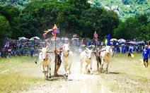 ‘Cú hích’ kinh tế du lịch qua những lễ hội mang đậm bản sắc văn hóa con người ở An Giang