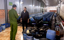 Vụ giá đỗ ngâm hóa chất: 4 bị cáo lãnh án tù