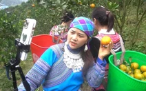 Hợp tác xã điện tử - ‘chìa khóa’ góp phần giúp đồng bào thoát nghèo