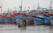 Còn hàng trăm tàu cá vẫn hoạt động trên biển, Đà Nẵng gấp rút gọi vào bờ trú bão