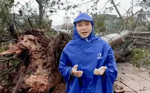 Những đặc điểm hiếm thấy của bão Bualoi
