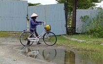 Đà Nẵng lập tổ công tác xử lý vướng mắc các dự án của Bách Đạt An, Dana Homeland, Chí Thành