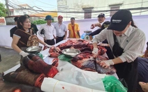 Trong sân 'ông trâu' đang chọi, ngoài sân trâu chọi đã bị xẻ thịt