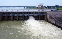 Thủy điện Trị An xả tràn liên tiếp, người dân vùng hạ du hồ chứa chủ động phòng ngừa