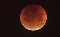 Những hình ảnh 'trăng máu' ở Việt Nam