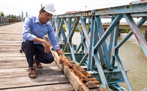 Hạ giải cầu Hiền Lương để tu bổ, sơn mới 2 màu, lát ván gỗ lim Lào