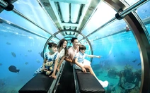 Khánh Hòa hướng tới điểm đến xanh toàn diện: Lợi thế tự nhiên lớn, quyết tâm còn lớn hơn