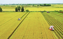 Từ 1-1-2026 miễn thuế sử dụng đất nông nghiệp đến hết năm 2030 cho nhiều trường hợp