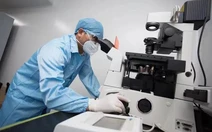 Bản đồ miễn dịch hé lộ điều bất ngờ: Cơ thể người không 'giống nhau' như ta tưởng