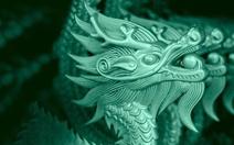 'Cá mập' Dragon Capital chốt ngày đưa cổ phiếu DCV chào sàn UpCOM