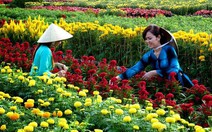 Thời tiết hôm nay 13-1: Bắc Bộ rét, Nam Bộ ngày nắng, chiều mưa dông