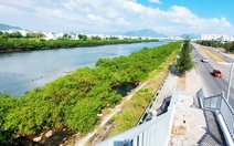 Các chuyên gia thủy lợi: Không thể để cây cối trái thiết kế dự án thoát lũ ở Nha Trang