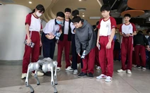 Buổi học giữa không gian sáng tạo