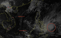 Bão Chim Én vừa hình thành gần Biển Đông