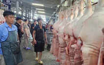 Tăng liên tục, giá heo hơi ở đỉnh 77.000 đồng/kg, giá dịp Tết sẽ thế nào?