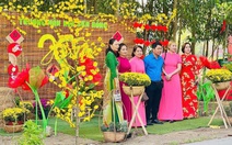 Tết này, về Bình Lợi dạo đường hoa mai vàng dài 3km